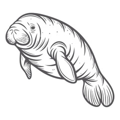 Dugong Illustration, Line Art Sea Cow