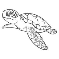 Naklejka premium Hawksbill Sea Turtle Line Art Illustration
