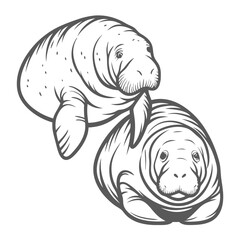 Manatee Pair Line Art Illustration