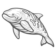 Risso's Dolphin Line Art Illustration