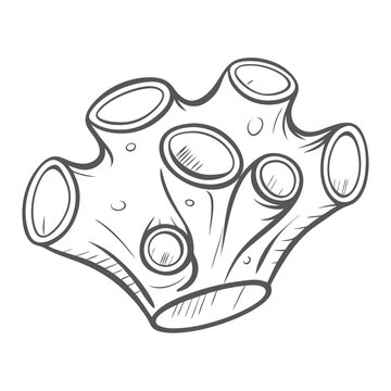 Stylized Tunicate Urochordata Outline Illustration