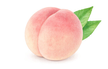 桃のイラスト 水彩 白桃