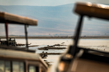 Safari im Ngorongoro Krater