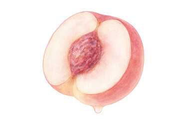 桃のイラスト 水彩 白桃