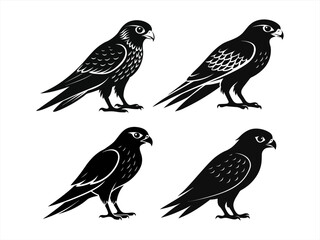 Obraz premium kestrel sihouette black vector bundle