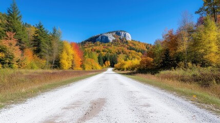 Fototapeta premium Autumnal Country Road Leads to Mountain Peak