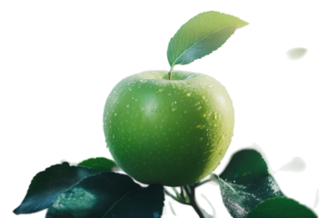 A glistening green apple freshly picked hangs on a dewy branch bathed in soft sunlight a vibrant