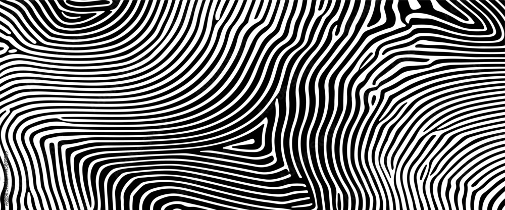 Poster Abstract vector illustration with black and white wavy lines that form an optical illusion effect, creating a dynamic, modern, and hypnotic visual.