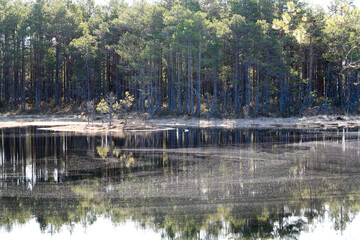 Symmetrical Mire Hollow in K&otilde;nnu Suursoo Raised Bog, Estonia &ndash; Reflections of Bonsai Pines, Blue Sky, and Clouds on Still Water on a Bright Autumn Day in a Protected Wetland Landscape