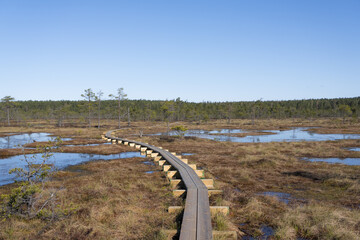 Estonia - April 26 2025: Aerial View of Konnu Suursoo Raised Bog. Scenic Autumn Morning with Wooden Duckboards Over Floating Peat Moss, Deep Hollows, and the Tranquil, Mysterious Wetland Landscape