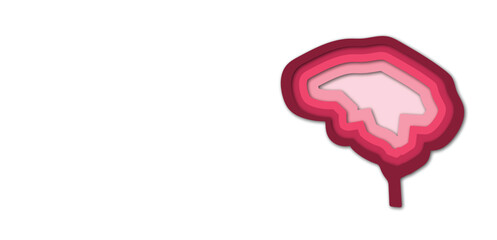 Isolated human brain different pink shade layers paper cut style with copyspace for text illustration, mental health awareness poster banner theme presentation sign symbol design 