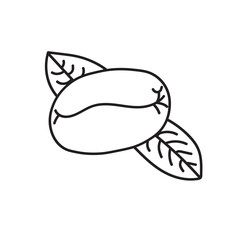 Hand Drawn Arabica Coffee Plant with Berries and Leaves – Vintage Botanical Illustration