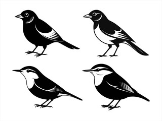 nuthatch sihouette black vector bundle