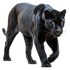 Naklejka premium Majestic Black Panther A Stunning Image of a Powerful Feline isolated on transparent background