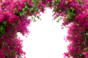 Pink Flower Archway
