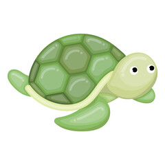 cute turtle illustration