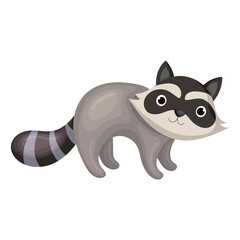 cute raccoon illustration