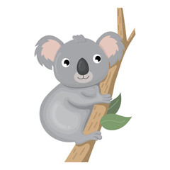 cute koala illustration © Totimoa