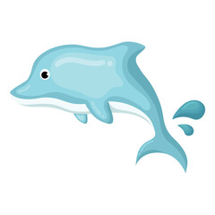 cute dolphin illustration