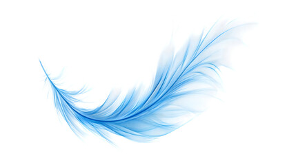 Elegant Feather on Transparent White Background for Design Projects