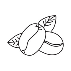 Hand Drawn Arabica Coffee Plant with Berries and Leaves – Vintage Botanical Illustration