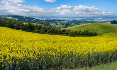 Spring time in the East Yorkshire Wolds in the United Kingdom