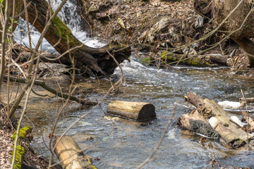 Small transparent river flowing in spring forest. Clear stream running through green plants. Wild water splashing in springtime. Fast stream with freshness water. Wet ground surface and clear stream.