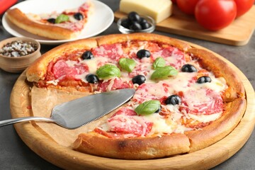 Tasty pizza and ingredients on grey table, closeup