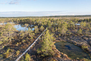 Estonia - April 26 2025: Aerial View of Konnu Suursoo Raised Bog. Scenic Autumn Morning with Wooden Duckboards Over Floating Peat Moss, Deep Hollows, and the Tranquil, Mysterious Wetland Landscape