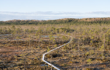 Estonia - April 26 2025: Aerial View of Konnu Suursoo Raised Bog. Scenic Autumn Morning with Wooden Duckboards Over Floating Peat Moss, Deep Hollows, and the Tranquil, Mysterious Wetland Landscape