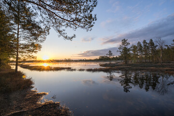 Estonia - April 26 2025: Spring in K&otilde;nnu Suursoo Mire. Scenic Wetland Landscape with Dangerous Floating Peat Moss and Typical Swamp Grass around Bog Pool named Pikklaugas in Soft Morning Light.