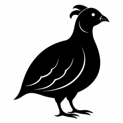 Classic Black Quail Shape Illustration