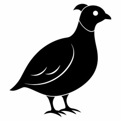 Classic Black Quail Shape Illustration