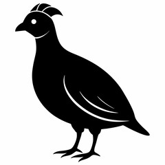 Classic Black Quail Shape Illustration