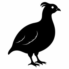 Classic Black Quail Shape Illustration