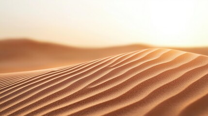 Desert dunes shaped by time, majestic ripples flowing like waves across an endless sea of sand