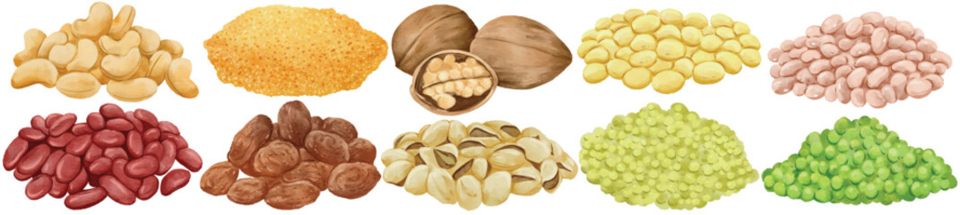 Watercolor Bean Nut and Grain Clip Art Set Hand Painted Cashew Walnut Pistachio Red Bean Green Pea Yellow Lentil Raisin Soybean Dry Food Plant Protein Illustration