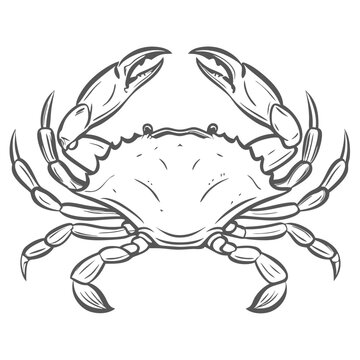 Blue Crab Line Art Vector Illustration