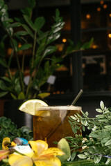 Overhead Picnic Scene with Whiskey Cocktail and Bird Decor