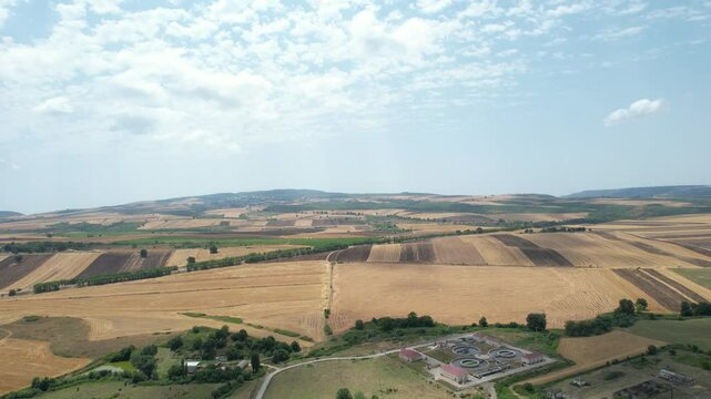 Fields in Summer