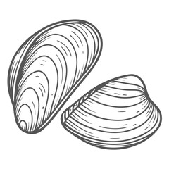 Zebra Mussel Illustration, Invasive Species Outline