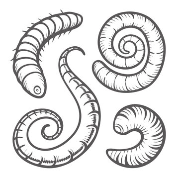 worms in various shapes, grayscale clip art preview