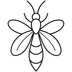 Clean Firefly Line Design