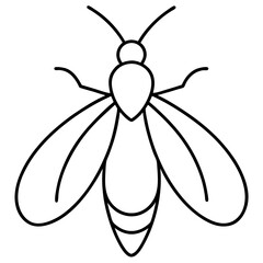 Clean Firefly Line Design