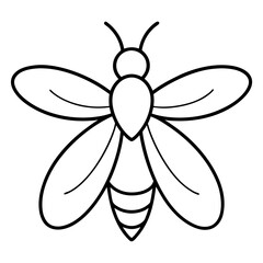 Clean Firefly Line Design