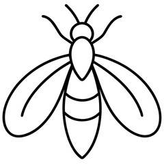 Clean Firefly Line Design