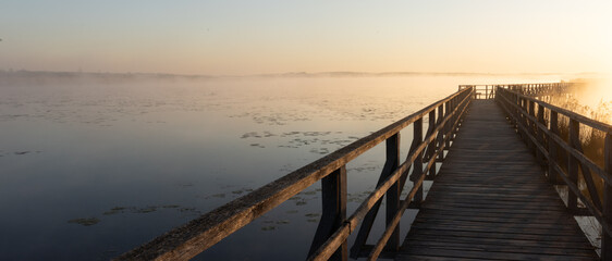 Nebelstimmung am Federsee am frühen Morgen bei Sonnenaufgang