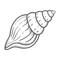 Cone Snail Illustration, Venomous Sea Shell Vector