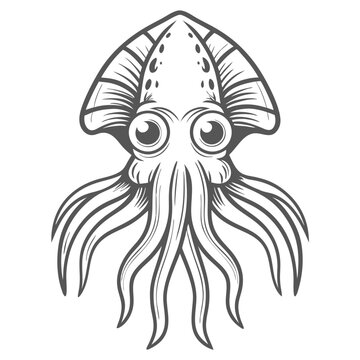 Giant Squid Illustration, Architeuthis Dux, Vector