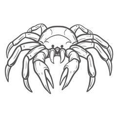 Snow Crab Outline Illustration, Chionoecetes Opilio